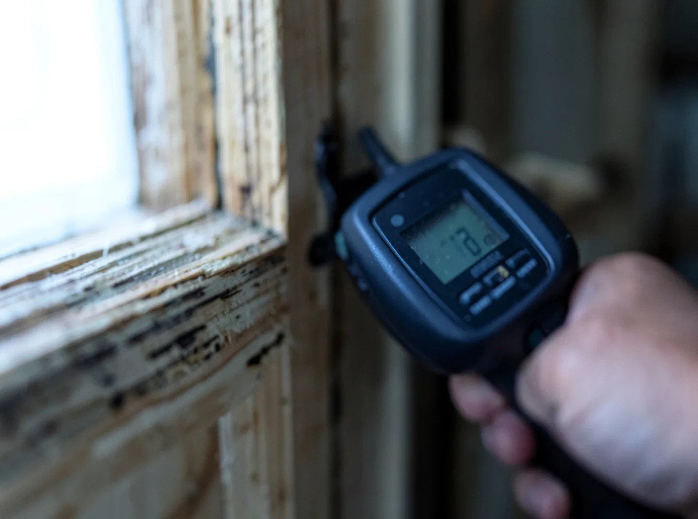 Moisture Inspection And Documentation in Sacramento, NM